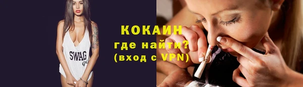 шишки Касимов