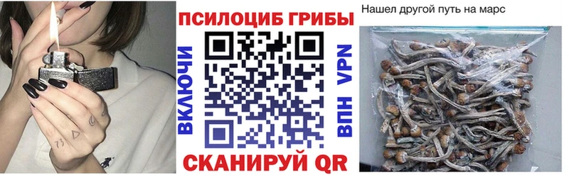 Псилоцибиновые грибы Cubensis  Купить закладки  Дегтярск 